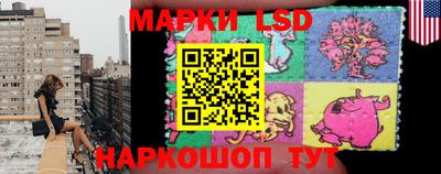 spice Новодвинск
