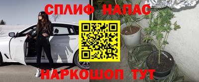 ПСИЛОЦИБИНОВЫЕ ГРИБЫ Новокубанск