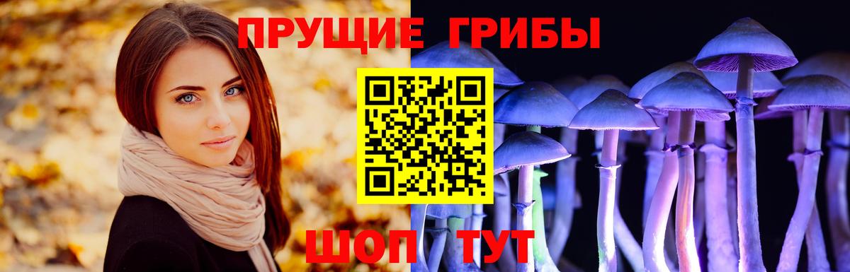 Псилоцибиновые грибы мицелий Учалы